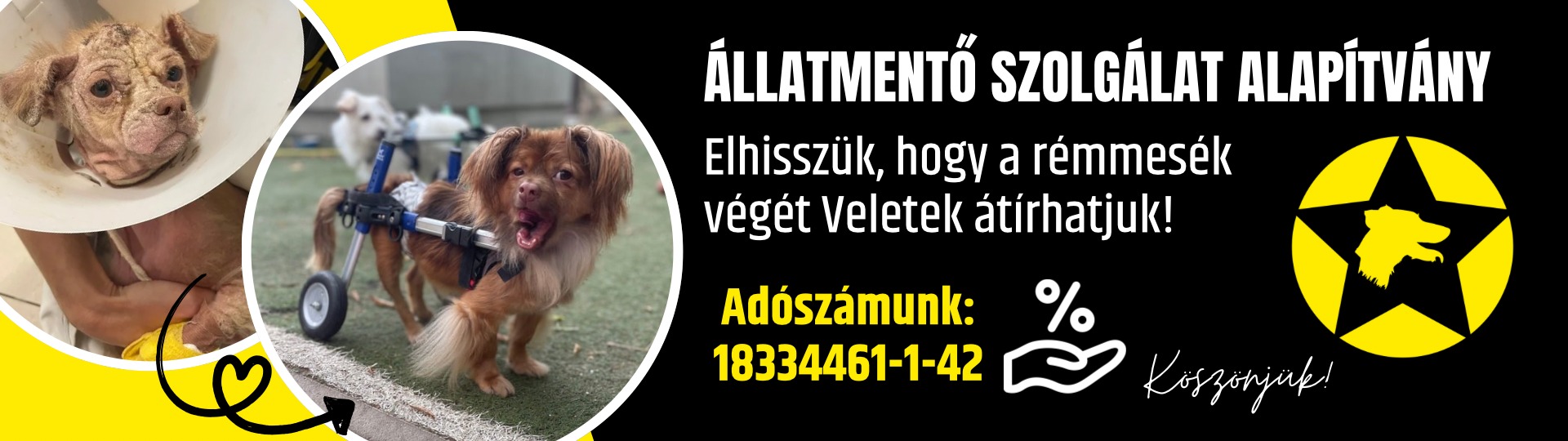 Convert to JPG project (1)