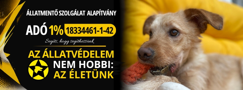 Adó 1% – Állatmentő Szolgálat Alapítvány