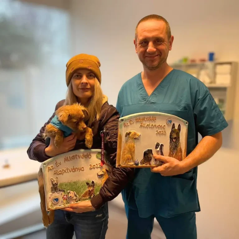 edina és ipolyi tamás yoda