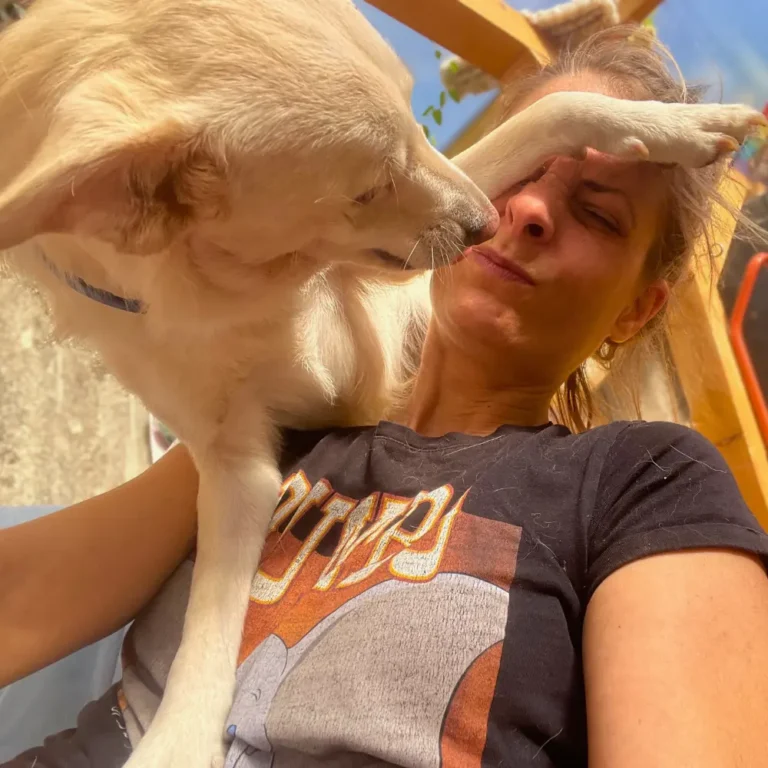 edina titá játékidő