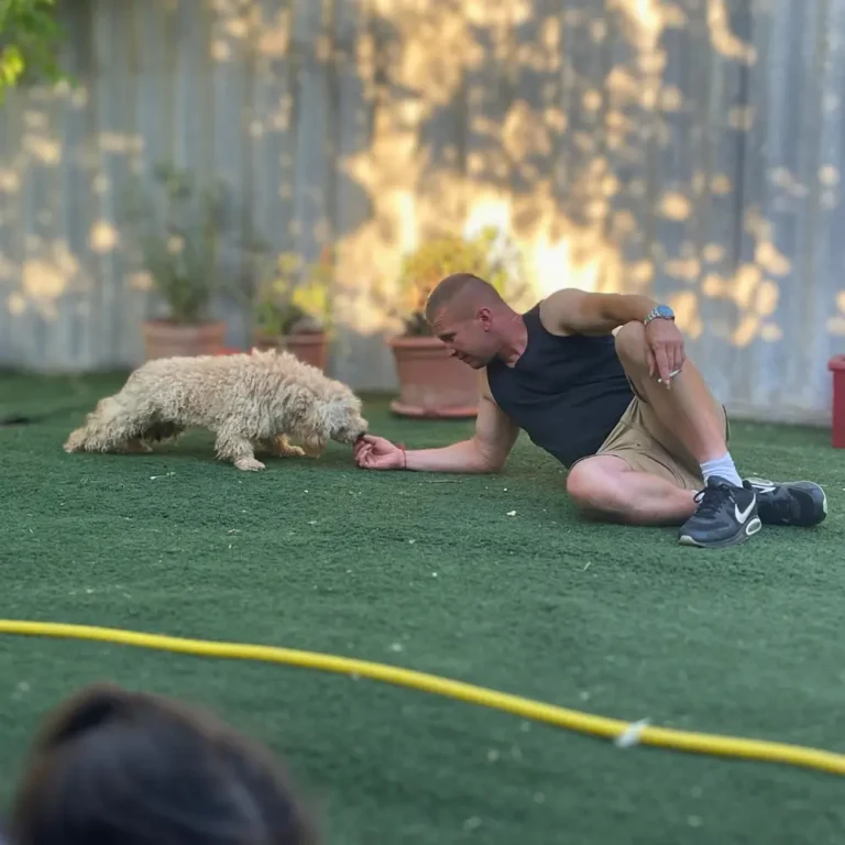 peti félőskutya szocializáció