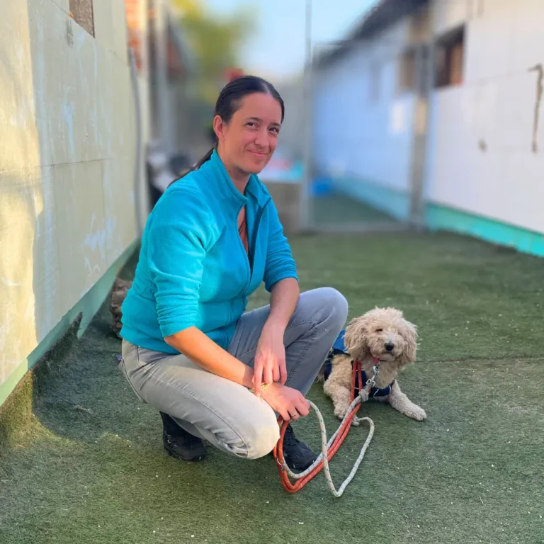 réka simi mentett kutya rehabilitáció szocializáció