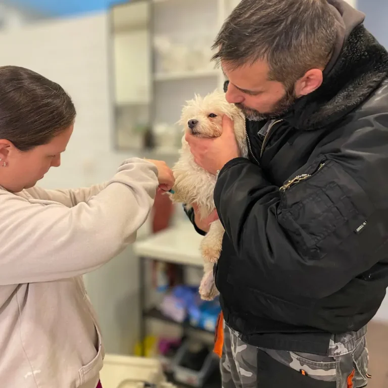 soma állatvédelem állatorvosnál