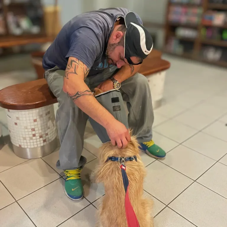 soma táti állatorvostudományi egyetemen