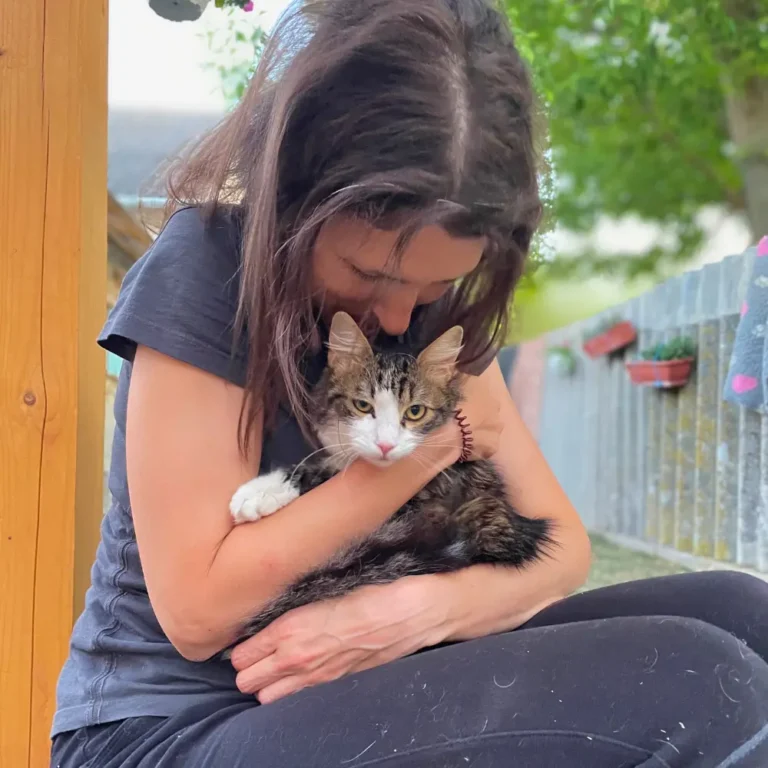 zsuzsi mentett cica állatvédelem önkéntes