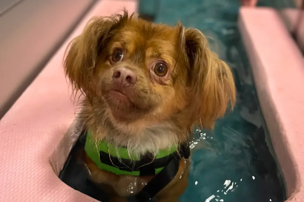 Yoda hidroterápiás kezelése a rehabilitációs időszakban.