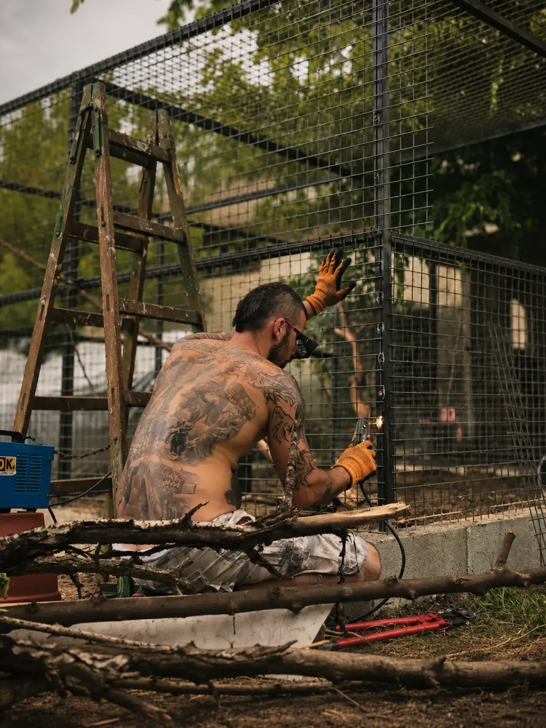 Kifutó építése mentett állatok számára